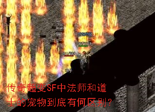 ���泬��SF�з�ʦ�͵�ʿ�ĳ��ﵽ���к�����