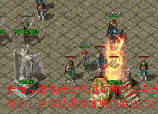 ����˽��΢�˱�̬����ο�������ս���������������Щ���Ҽ��ɣ�