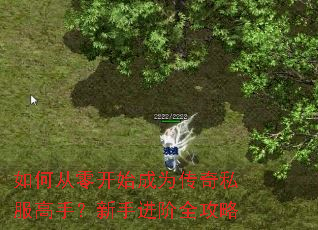 ��δ��㿪ʼ��Ϊ����˽�����֣����ֽ���ȫ����