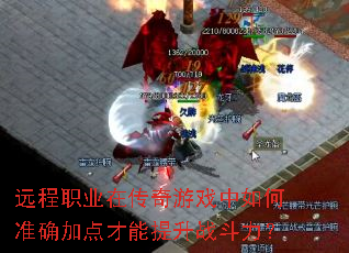 Զ��ְҵ�ڴ�����Ϸ�����׼ȷ�ӵ��������ս������