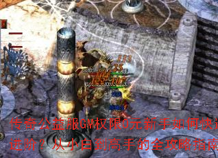 ���湫���GMȨ��0Ԫ������ο��ٽ��ף���С�׵����ֵ�ȫ����ָ�ϣ�