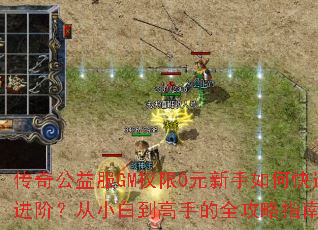 ���湫���GMȨ��0Ԫ������ο��ٽ��ף���С�׵����ֵ�ȫ����ָ�ϣ�