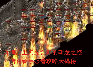 ���̤�ϵ��⽣Ӱ��ն��֮�ã��������ֱؿ����Դ����