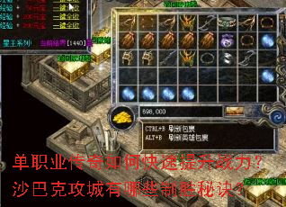 ��ְҵ������ο�������ս����ɳ�Ϳ˹�������Щ��ʤ�ؾ���