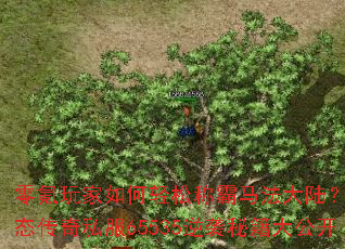 ������������ɳư�������½��������̬����˽��65535��Ϯ�ؼ��󹫿�