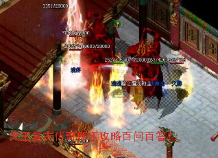 �������Ŵ������ֹ��԰��ʰٴ�