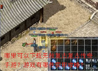 ��������������⸴�Ÿ��Ŵ������Σ���Ϸ����Щʵ�ù��ԣ�