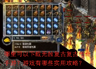 ��������������⸴�Ÿ��Ŵ������Σ���Ϸ����Щʵ�ù��ԣ�