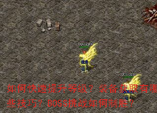 ��ο��������ȼ���װ����ȡ����Щ���ɣ�BOSS��ս�����ʤ��