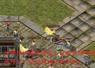 ��ο��������ȼ���װ����ȡ����Щ���ɣ�BOSS��ս�����ʤ��