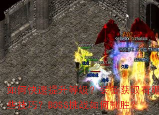 ��ο��������ȼ���װ����ȡ����Щ���ɣ�BOSS��ս�����ʤ��