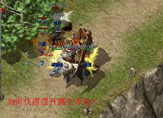 ��ο������������ȼ���