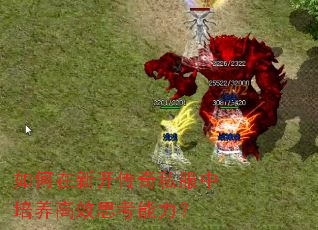 ������¿�����˽����������Ч˼��������