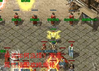 ��װ���ѡ�񣿺������Դ��乥�Խ���