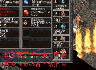 ���ֿ��ĵ�һ������ͨ�б䴫��ر�����ָ��