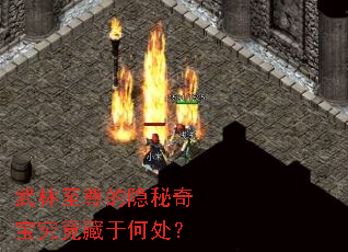 ��������������汦�������ںδ���