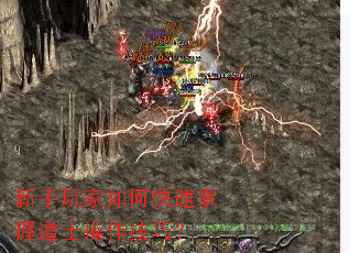 ���������ο������յ�ʿ�������ɣ�