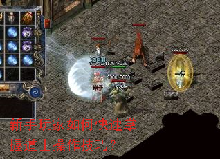 ���������ο������յ�ʿ�������ɣ�