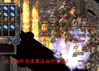 սʿ�����ѡ���ʺϵı�����