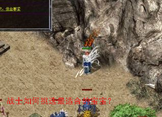 սʿ�����ѡ���ʺϵı�����