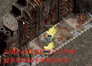 ��θ�Ч�����������ڴ���ʢ������������ˢȡ���飿