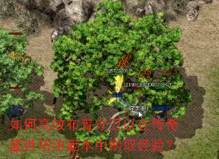 ��θ�Ч�����������ڴ���ʢ������������ˢȡ���飿