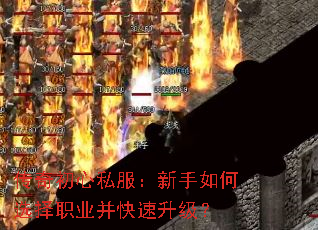 传奇初心私服:新手如何选择职业并快速升级? 传奇初心私服:新手如何选择职业并快速升级?