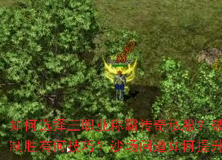 ���ѡ����ְҵ�ưԴ���˽�����Ƶ�ָ����ʤ�кμ��ɣ�ɳ���ʵ��������ս����