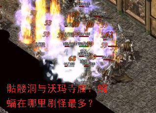 ���ö�����������������������ˢ����ࣿ