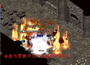 �ϻ�����������ο�������ս����