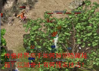 传奇世界高手如何解锁隐藏秘籍?江湖奇士有何独家技巧? 传奇世界高手如何解锁隐藏秘籍?江湖奇士有何独家技巧?