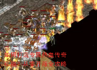 ��δ���ר����Ѫ����˽�������㿪��ȫ����