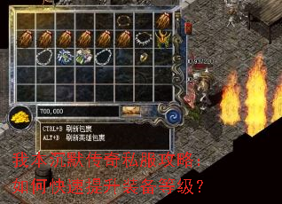 �ұ���Ĭ����˽�����ԣ���ο�������װ���ȼ���