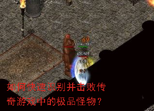 ��ο���ʶ�𲢻��ܴ�����Ϸ�еļ�Ʒ���