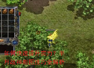 ��ο�������ʵ��������ս��ˢͼ����ȫ����