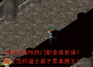 ����˽��PK����ְҵ˭��ǿ��սʿ��ʦ��ʿ˭���ǵ�������