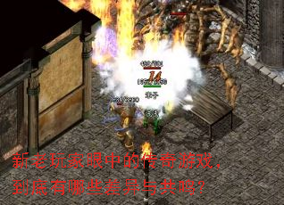 ����������еĴ�����Ϸ����������Щ�����빲����