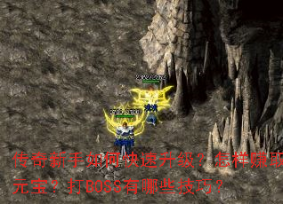 ����������ο�������������׬ȡԪ������BOSS����Щ���ɣ�