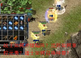 սʿ��γ�����󣿷�ʦ����ƿ�Ԫ�أ���ʿ����ٻ����ޣ�