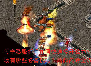 ����˽��������ο�������ս������սɳ������Щ�ر����ɣ��ʶ��۷�ȫ����ָ��