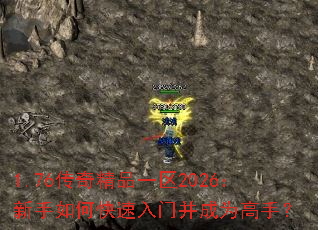 1.76���澫Ʒһ��2026��������ο������Ų���Ϊ���֣�