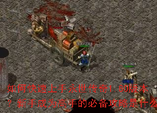 ��ο���������������1.80�汾�����ֳ�Ϊ���ֵıر�������ʲô��