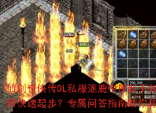 �ɽ�������OL˽����¹��ԭ������ο����𲽣�ר���ʴ�ָ������ư�