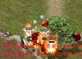 �ɽ�������OL˽����¹��ԭ������ο����𲽣�ר���ʴ�ָ������ư�