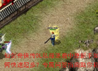 �ɽ�������OL˽����¹��ԭ������ο����𲽣�ר���ʴ�ָ������ư�