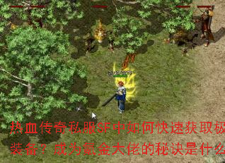 ��Ѫ����˽��SF����ο��ٻ�ȡ��Ʒװ������Ϊ봽���е��ؾ���ʲô��