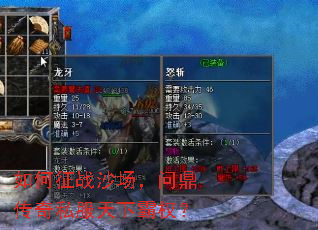 �����սɳ�����ʶ�����˽�����°�Ȩ��