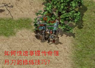 ��ο������մ������µ����������ɣ�