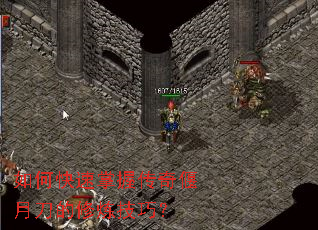 ��ο������մ������µ����������ɣ�