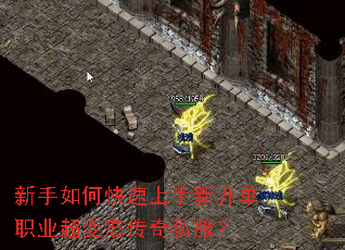 ������ο��������¿���ְҵ����̬����˽����